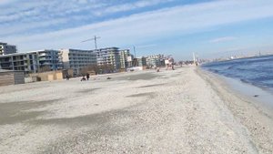 Украинцы в Румынии 🇺🇦🇹🇩  В МЕТРО не смогли покупки сделать там не нужны наши деньги.У моря #romania