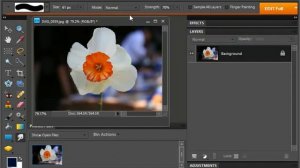 Photoshop Elements 9.0 Tutorial The Smudge Tool Adobe Training Lesson 13.5