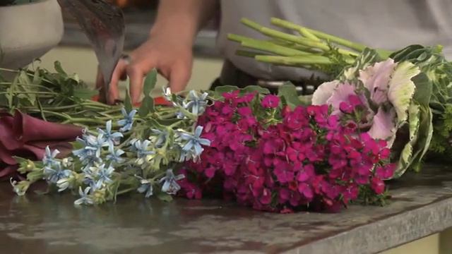 Voyager Trend Concept смотреть онлайн