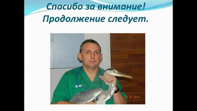 Вебинар Что нужно знать для работы с птицами смотреть онлайн