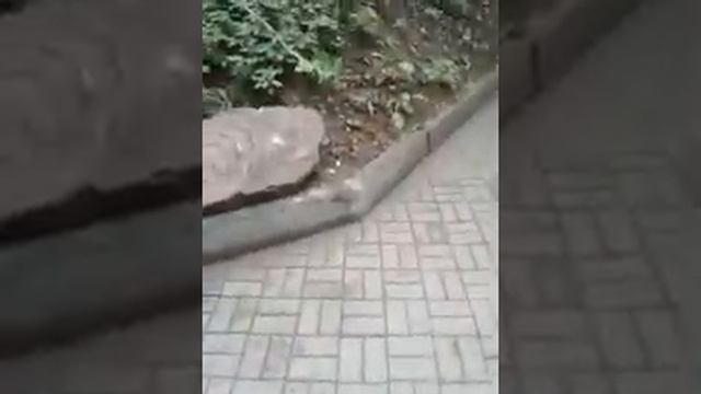 12 апостолов. Святые источники. Уникальное место.