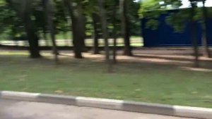 сигвей инструкция