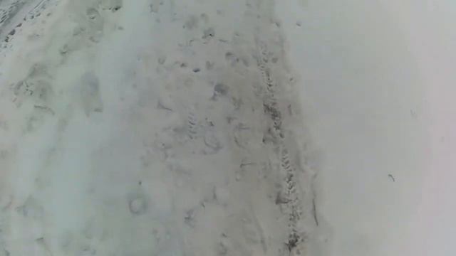 выехали в парк погулять с детьми , коньки смотреть онлайн