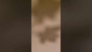 как сделать тв вумен и камера вумен из лего