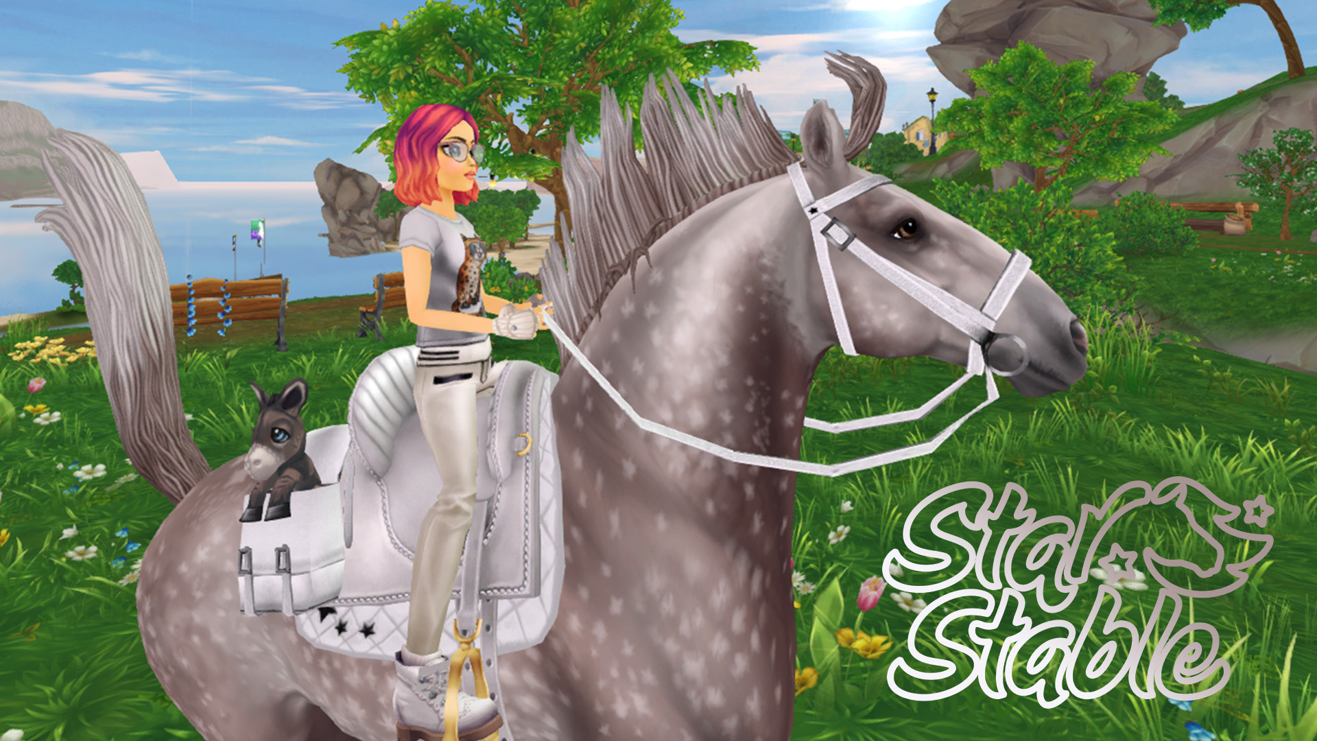 Star stable steam фото 31