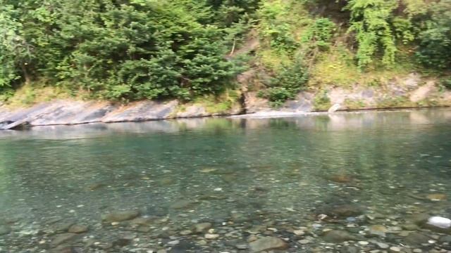 Горный воздух Сочи с.Пластунка.Где растёт мушмула и красная алыча? смотреть онлайн