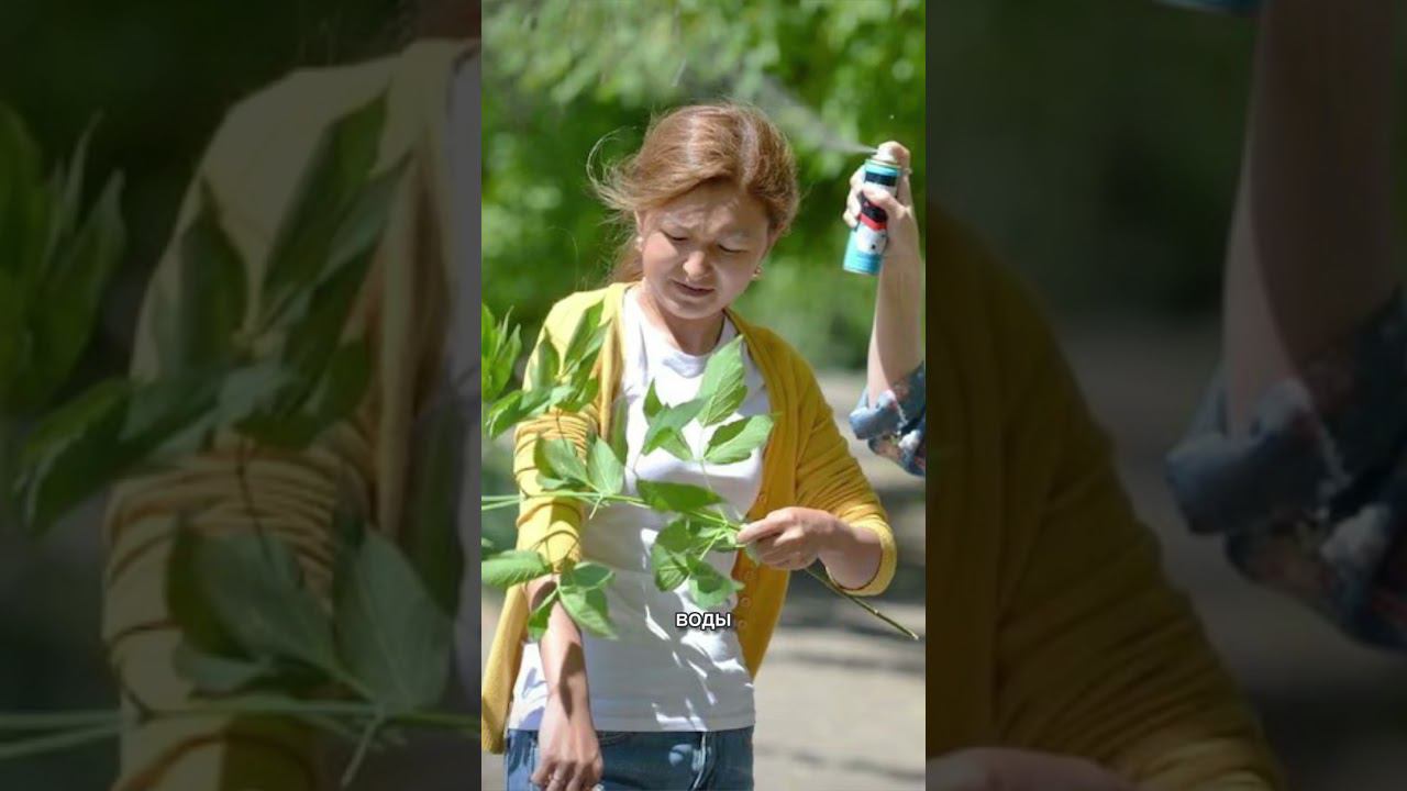 «Пик активности еще впереди». Энтомолог сказала, когда ждать максимума мошкары в Беларуси