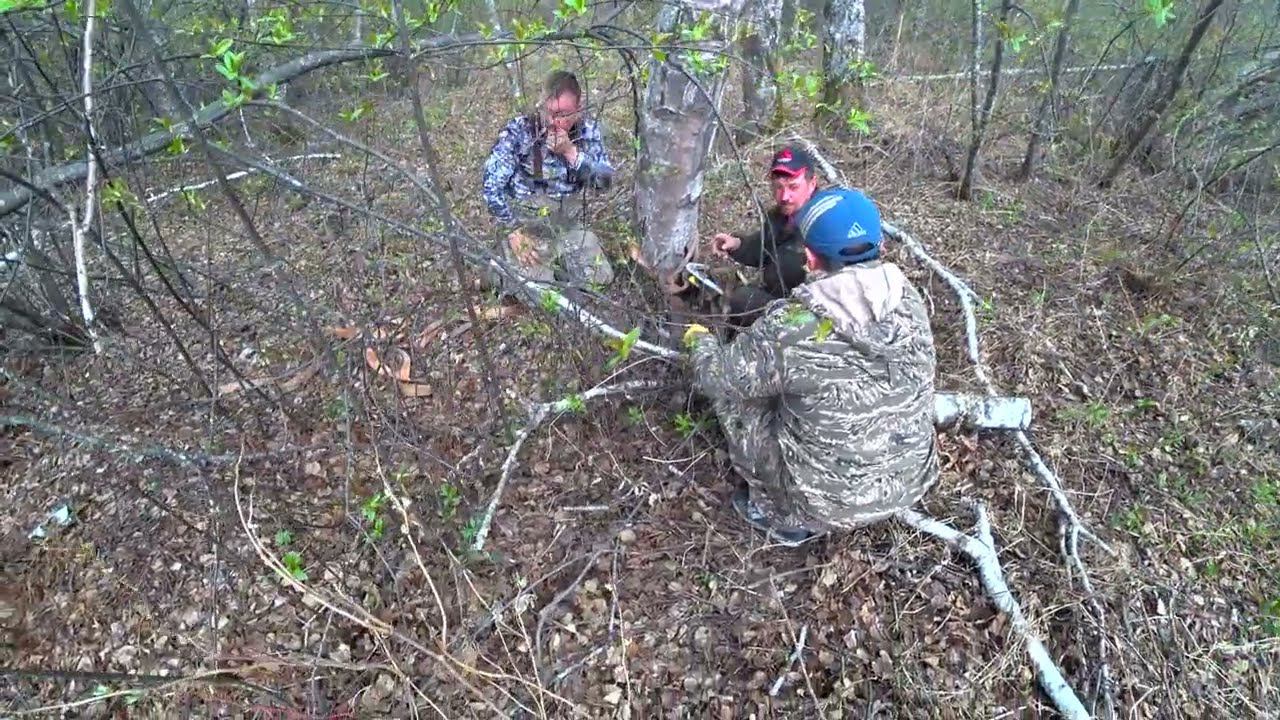 Хотели домой, но ТАЙГА не отпускает нашего 