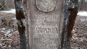 Путешествие выходного дня Усадьба Кожиных Липецкая обл. Задонский р-н Репец