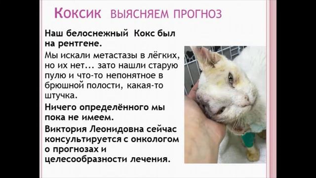 Итоги. Как прошёл наш август 2020г.
