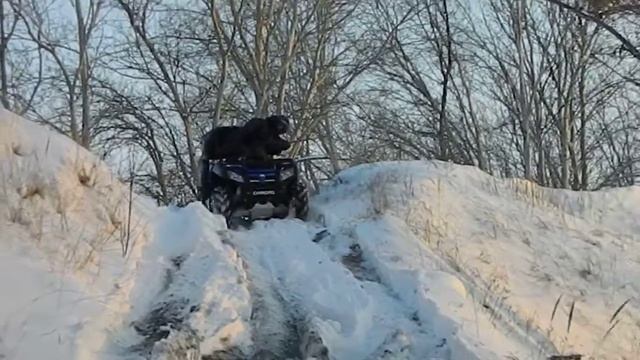 Тест резины смотреть онлайн