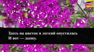 А.А. Фет " Бабочка " | Учи стихи легко | Караоке| Аудио Стихи Слушать Онлайн