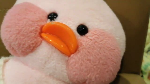 12 февраля 2024 г. смотреть онлайн