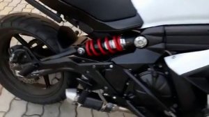 Китайский прямоток акрапович