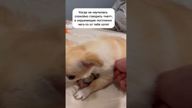 КОГДА НЕ УМЕЕШЬ ГОВОРИТЬ «НЕТ»