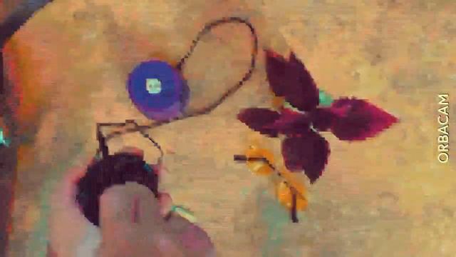 NANDO + ORBA смотреть онлайн