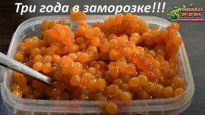 Как долго можно хранить красную икру в морозилке, вот эта икра три года  в заморозке.!