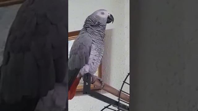 думает, что она на собрании... смотреть онлайн