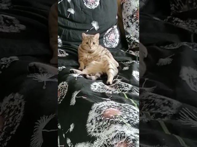 13 мая 2021 г. смотреть онлайн