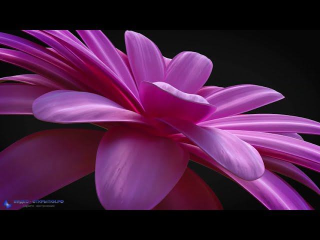 Поздравление с 8 Марта! смотреть онлайн