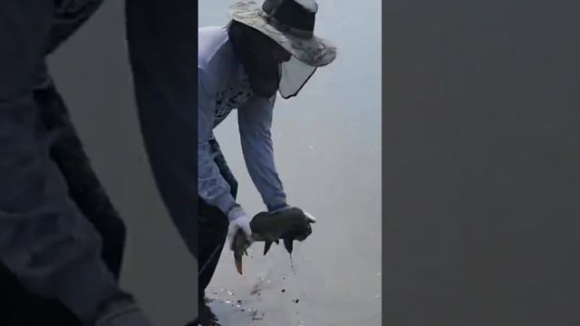 рыбалка на кастинговую сеть смотреть онлайн