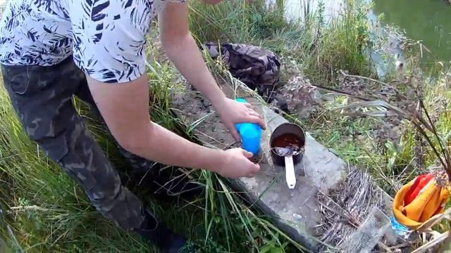 2 в 1//РЫБАЛКА ГРИБАЛКА//А РЫБА ГДЕ?