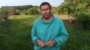 Сахарный сироп для пчел, что нужно добавить для профилактики заболеваний