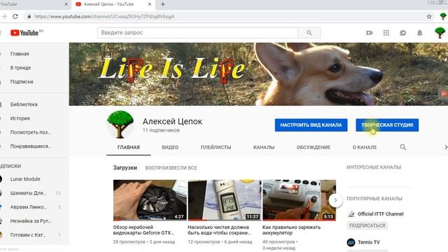 Как сделать чтобы были видны подписчики на ютубе YouTube