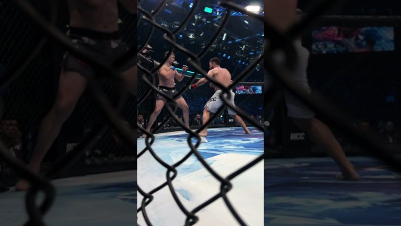Боец UFC в нокдауне | Асылжан жестко пробивает в челюсть Гришина | RCC 17