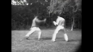 Мухамед Али и Брюс Ли