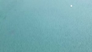 Укладка покрытия из резиновой крошки.mp4