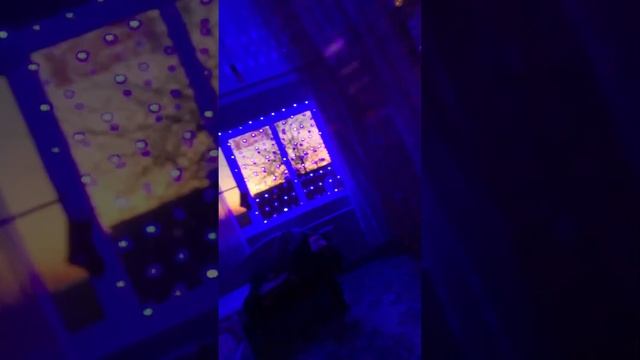 Ну как? А вы украсили свой дом/ квартиру?#Новыйгод#подарки смотреть онлайн