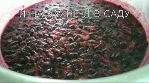 Варенье из тёрна. Заготовка на зиму.