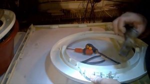 Замена ручки люка на стиральной машине