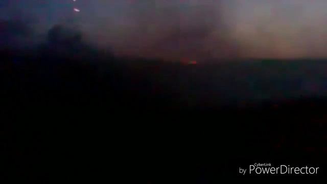 Добро пожаловать на канал В норе с Лисом! смотреть онлайн