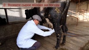 Калифорнийский тест на мастит
