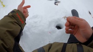 Зимняя Рыбалка На Окуня. Большие Окуни Зимой. Зимняя Рыбалка 2022