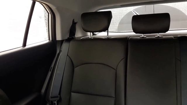 Hyundai Creta первое знакомство