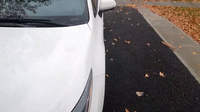 2022 Toyota Corolla SE Обзор смотреть онлайн