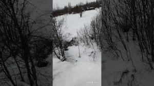 Поркур от рабочива
