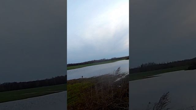 Открытие на гуся 2023 г в Тамбовской Области смотреть онлайн