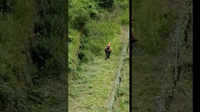 Mähung aus der Luft смотреть онлайн