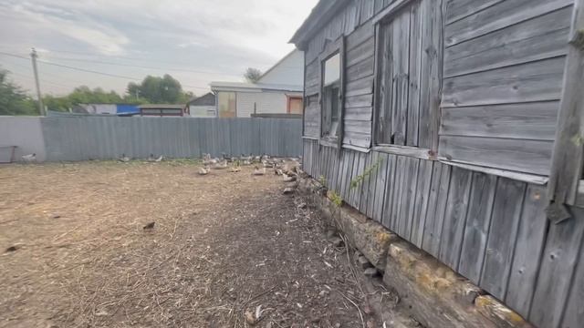 19-07-2023 смотреть онлайн