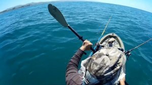 Fishing at Dana Point on kayak 2016