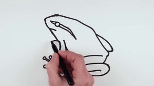How to Draw a Frog Easy | Animals Drawings for beginners
