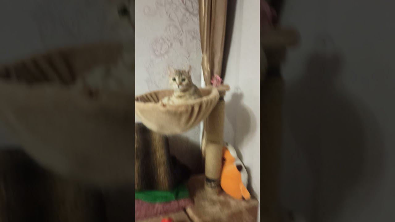 4 апреля 2021 г. смотреть онлайн