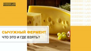 Все про сычужный фермент для приготовления домашнего сыра