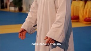 Обзор учебного фильма Ицзиньцзин Мастера Ши Янбина