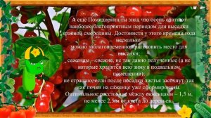 КРАСНАЯ СМОРОДИНА ПОЛЕЗНА ДЛЯ...