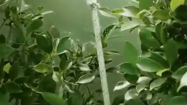 САМОЕ ГЛАВНОЕ БЕЗОПАСНОСТЬ!